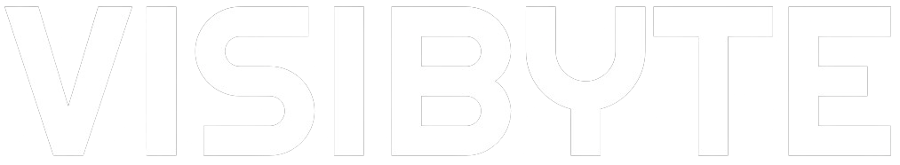 Visibyte Logo White